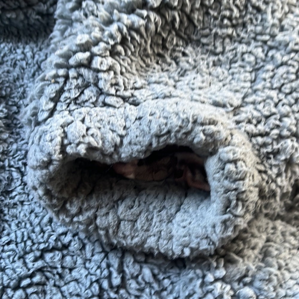 Free People Blue Tessa Teddy Longline Faux Sherpa Fur Trench Coat - Picture 10 of 13